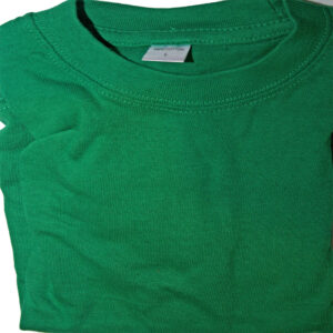 Tee shirt house emerald green